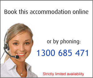 Book Online Now